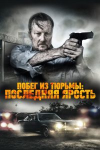 Побег из тюрьмы: Последняя ярость (2017)