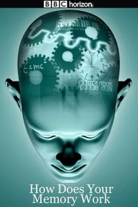 How Does Your Memory Work (2008)